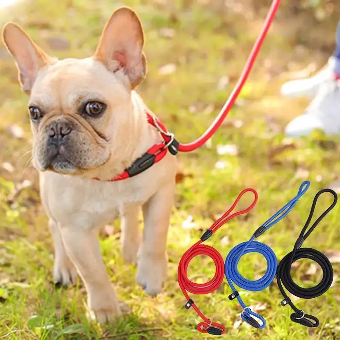 Laisse d'entraînement pour chien