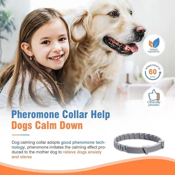Colliers apaisants naturels pour chiens et chats