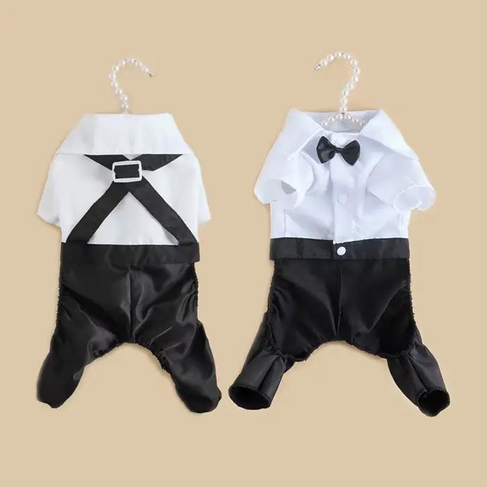 Vêtements pour petits chiens