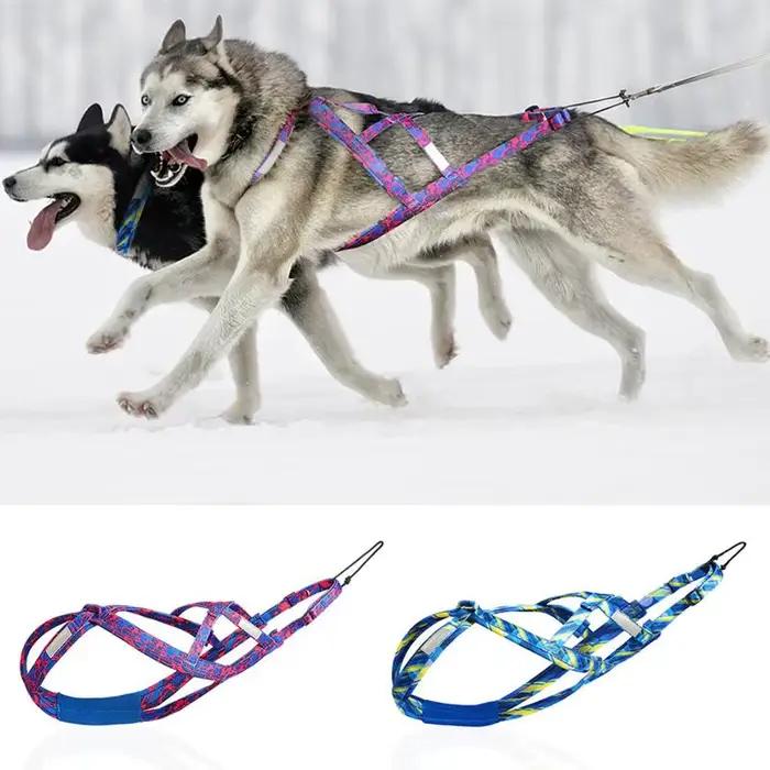 Harnais de course pour chien