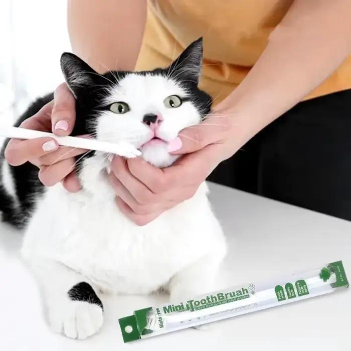 Brosse à dents pour animaux de compagnie