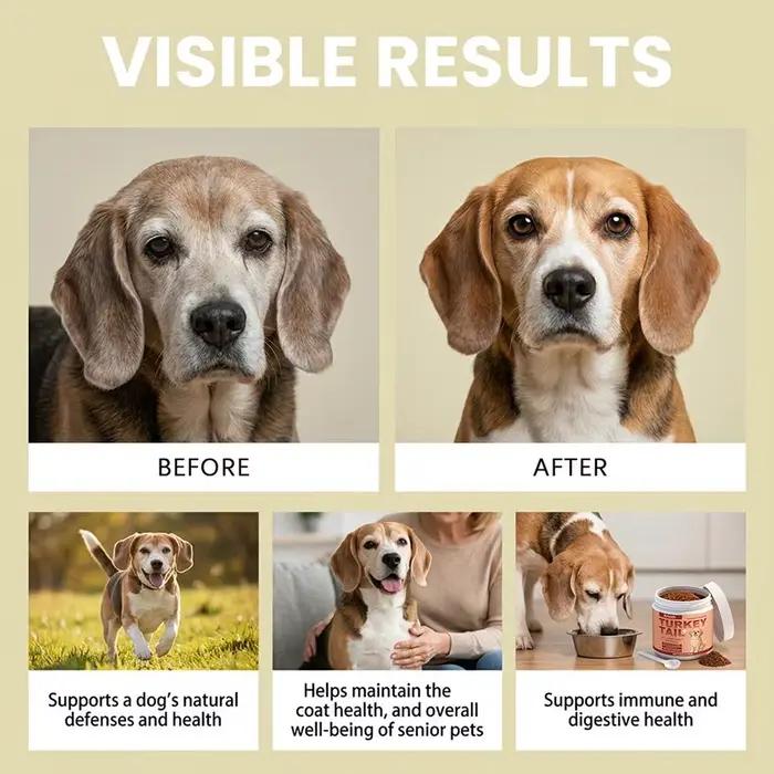 NOUVEAU Compléments Alimentaires pour Chiens : Soulagement de la Sécheresse Cutanée et des Démangeaisons