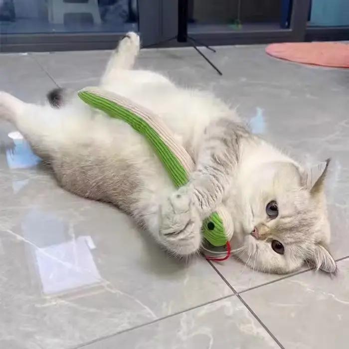 Jouet interactif pour animaux de compagnie, jouet de stimulation pour chatons, résistant aux morsures, jouet d'amusement pour chats d'intérieur, petits chiens, fournitures pour animaux de compagnie
