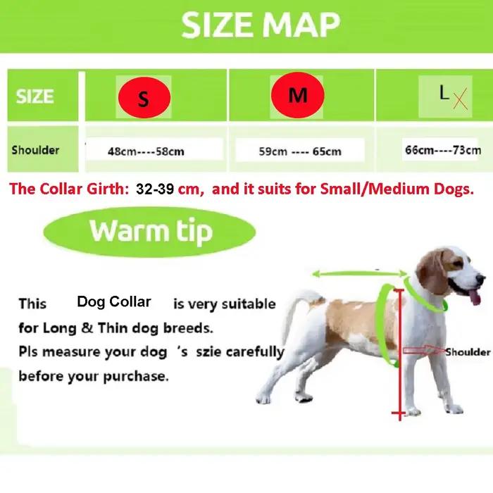 Collier de chien de compagnie en peau de vache