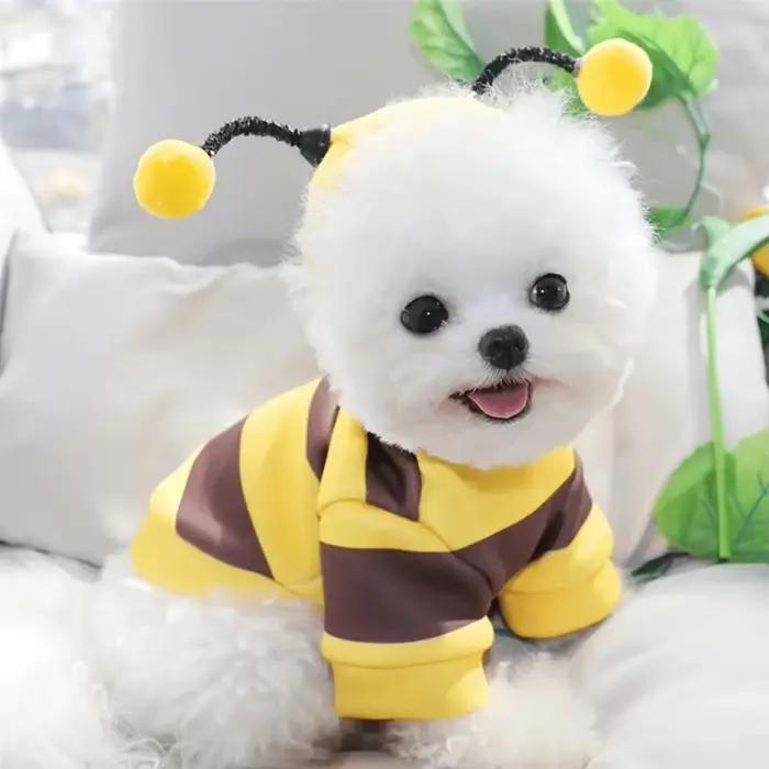 Vêtements pour animaux de compagnie Bee Pet : Manteau