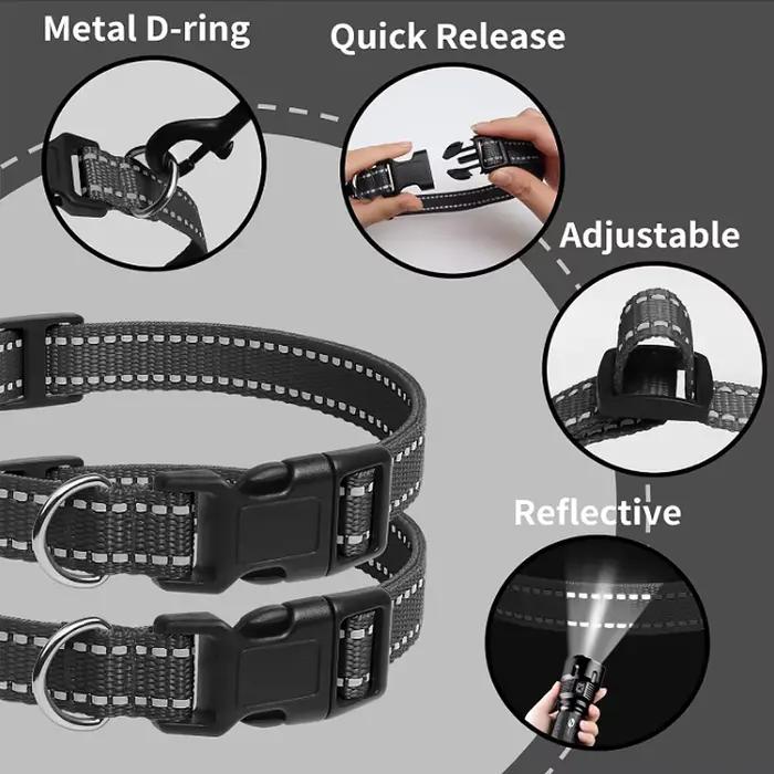 Sangle de remplacement pour collier de chien
