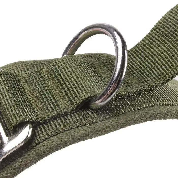 Collier d'entraînement pour chien réglable et pratique