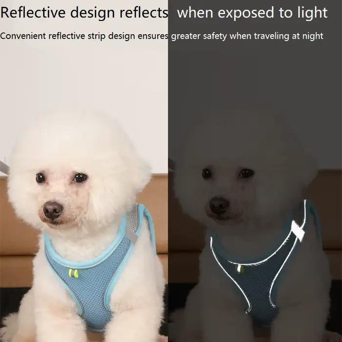 Harnais pour chien
