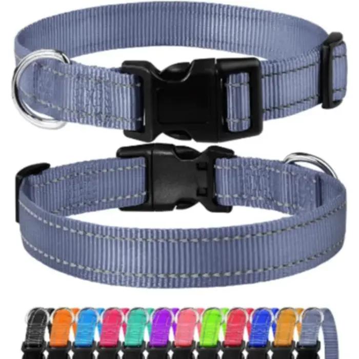 Collier ras du cou pour petit chien