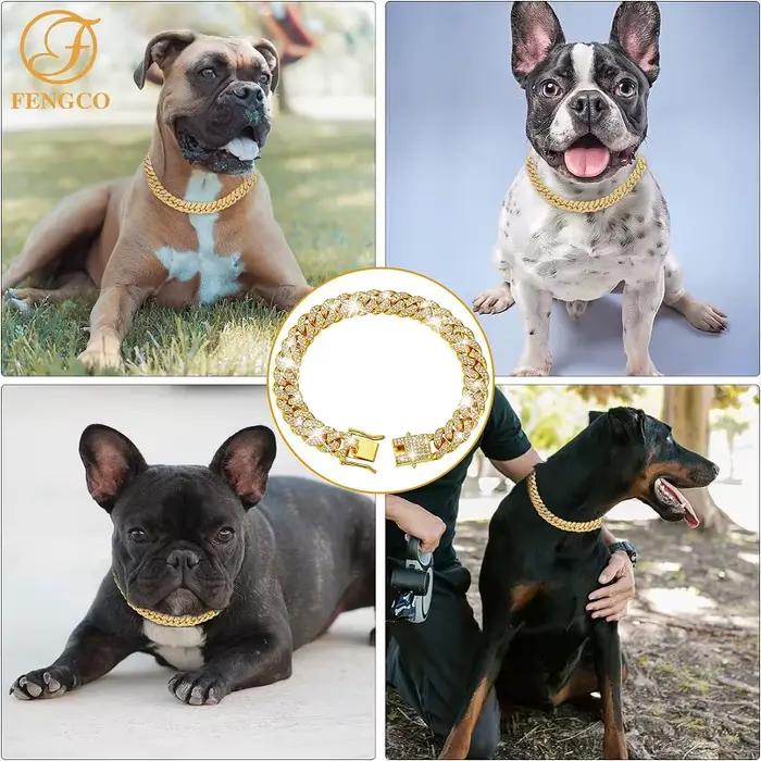 Collier de chaîne en métal doré pour animaux de compagnie