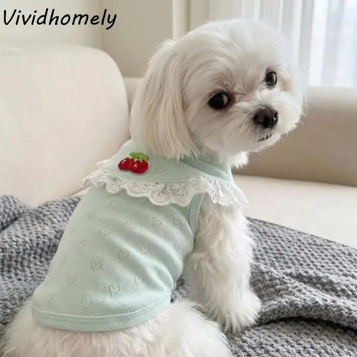 Gilet en dentelle pour chien à col volanté
