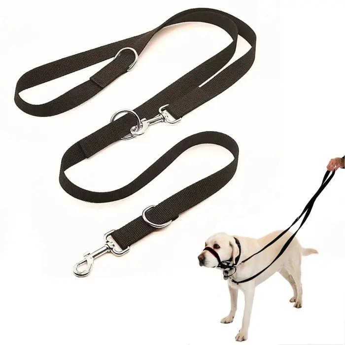 Laisse pour chien réglable de 250 cm x 2