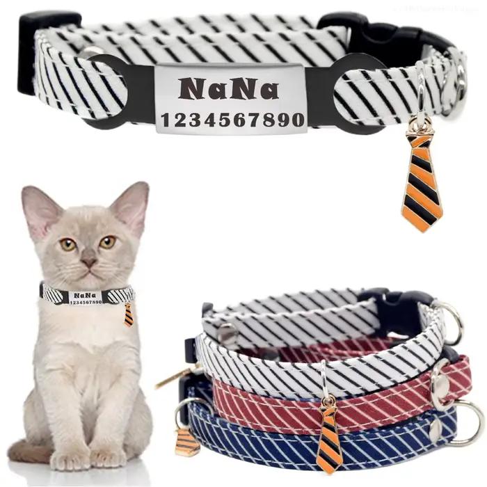 Collier pour chat personnalisé