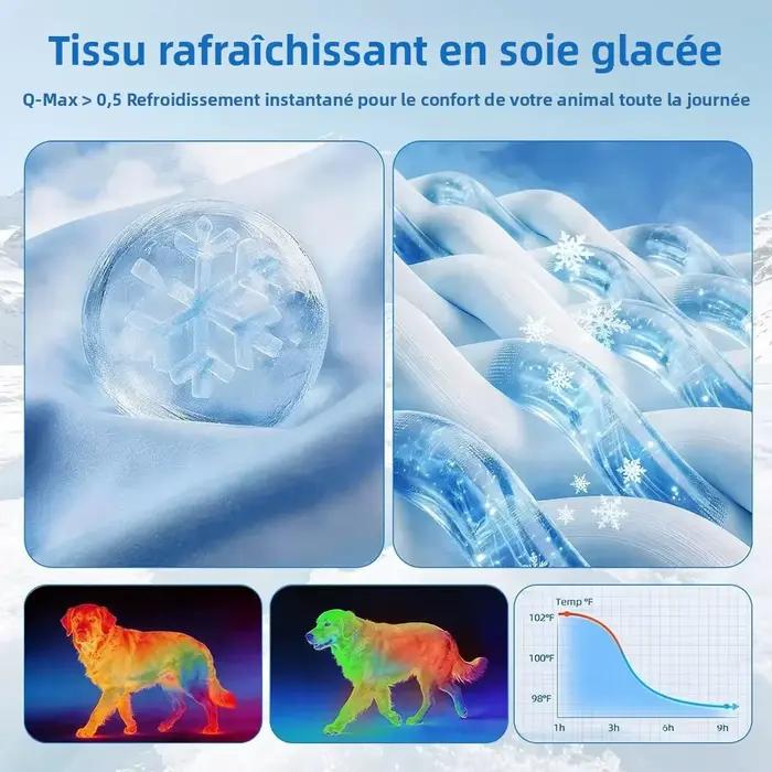 Tapis rafraîchissant pour chien