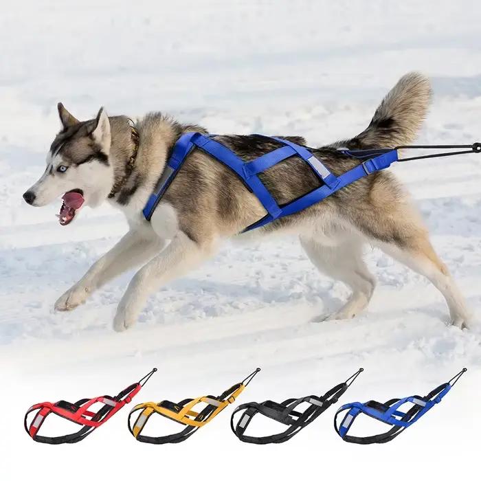Harnais de traîneau pour chien