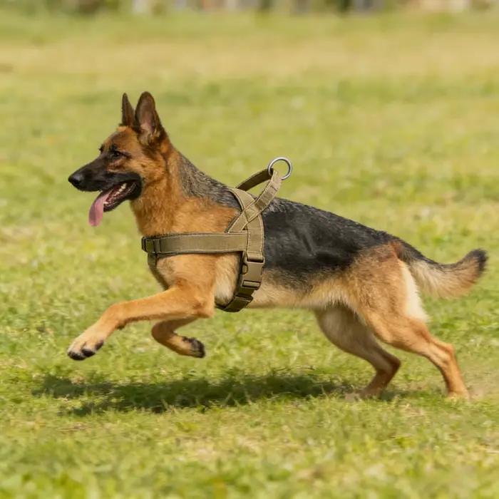 Harnais tactique anti-traction pour chien de grande race : Gilet robuste avec bande réfléchissante