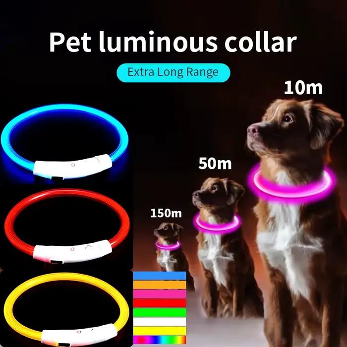 Collier pour chien en fibre optique LED PVC