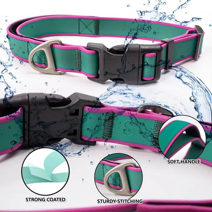 Collier d'entraînement pour chien