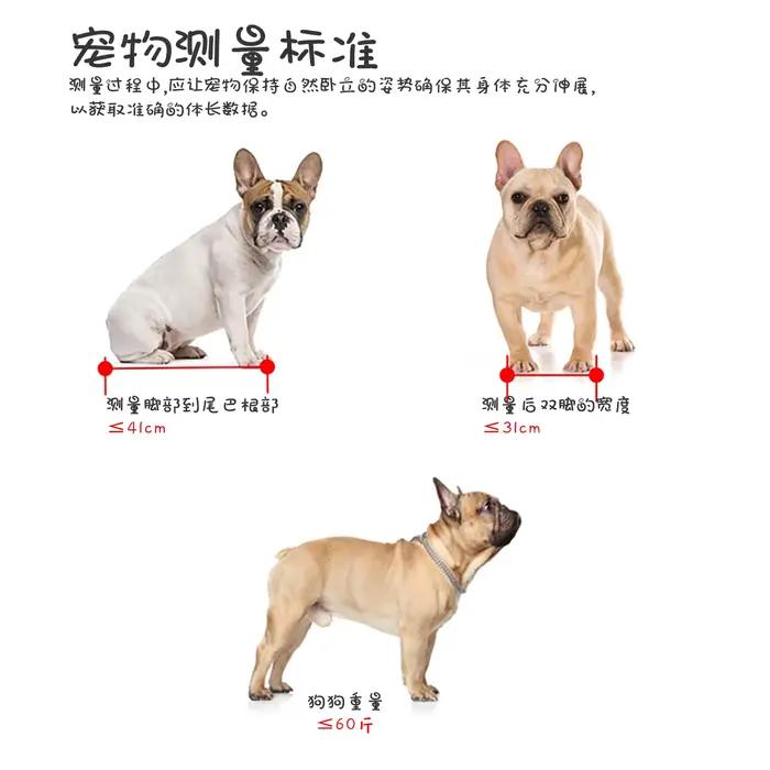 Panier de transport pour chien pour voiture électrique, siège pour animaux de compagnie, cage pour chien pour siège arrière de vélo