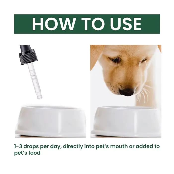 Complément alimentaire pour les articulations des chiens pour soulager l'arthrite et améliorer la mobilité