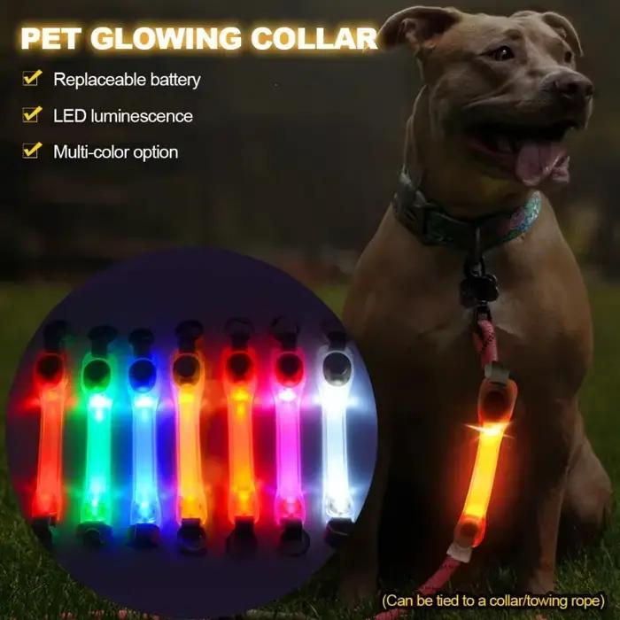 Collier lumineux de sécurité Anti-perte pour chien