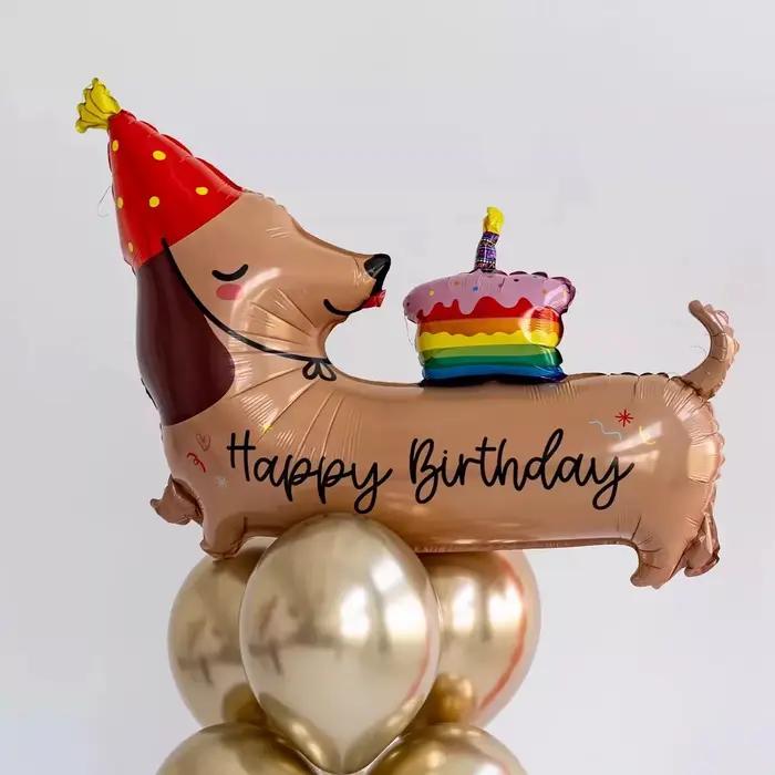 2 ballons en aluminium motif chien saucisse de dessin animé pour anniversaire