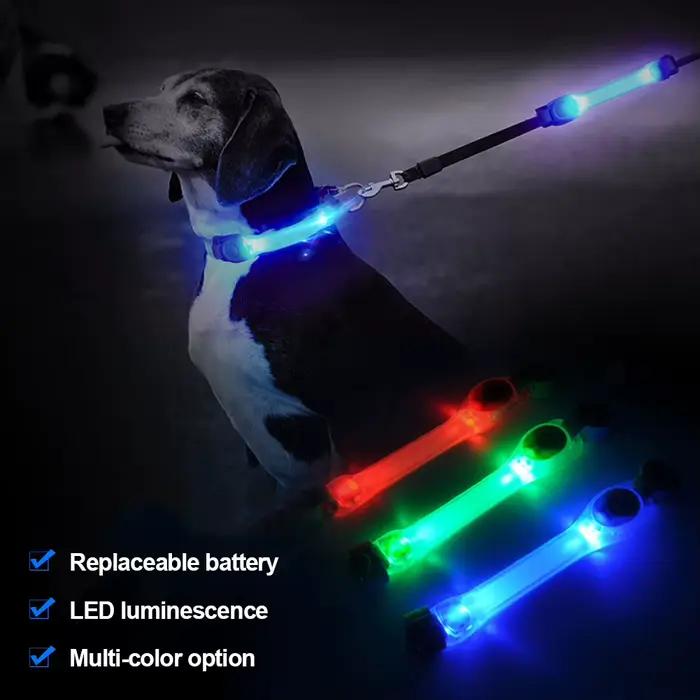 Collier de sécurité anti-perte pour chien