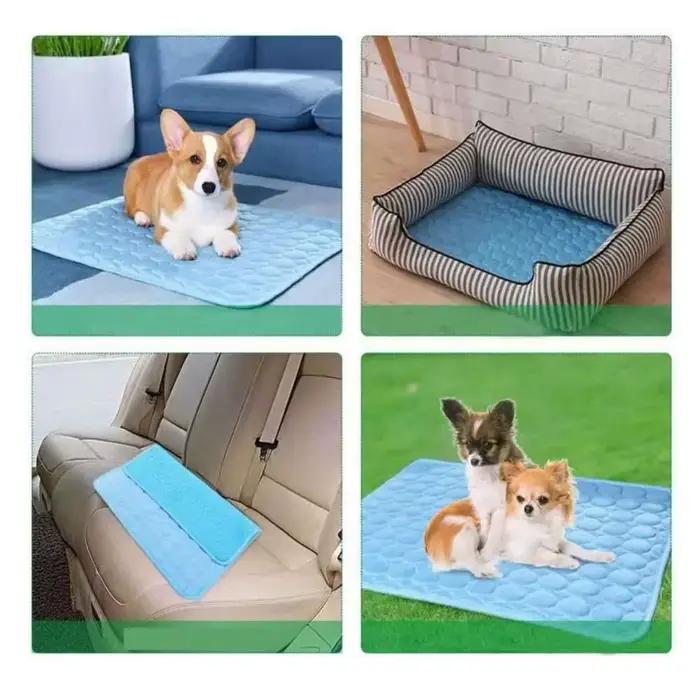 Tapis rafraîchissant pour chien