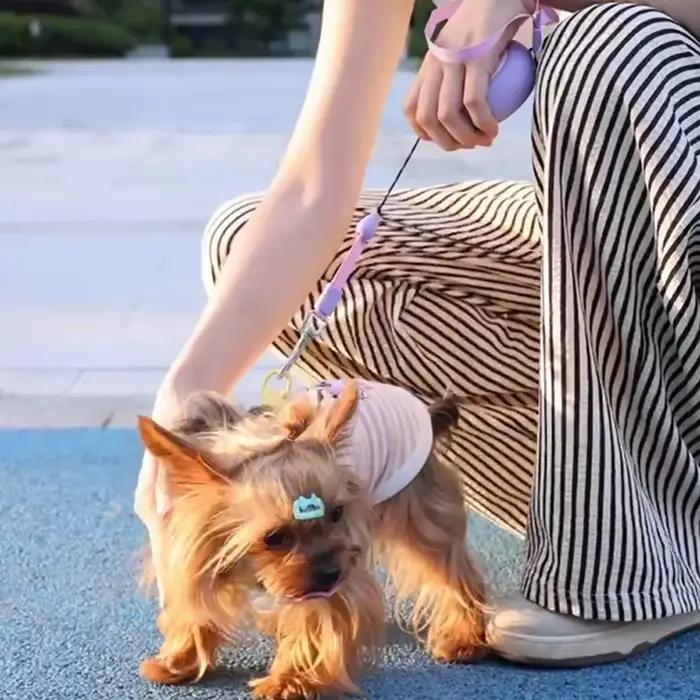 Laisse Booteely 3M pour petits chiens laisse rétractable automatique