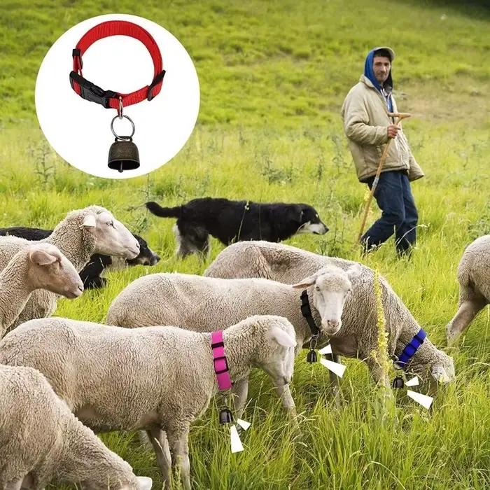 Collier réglable anti-perte pour animaux de compagnie avec boucle à dégagement rapide et clochette