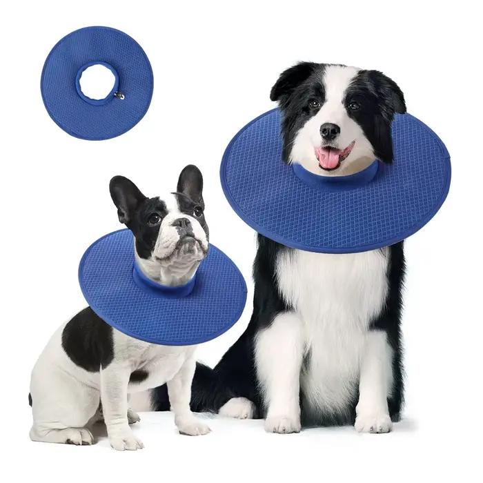 Collier de Récupération pour Chien après Chirurgie
