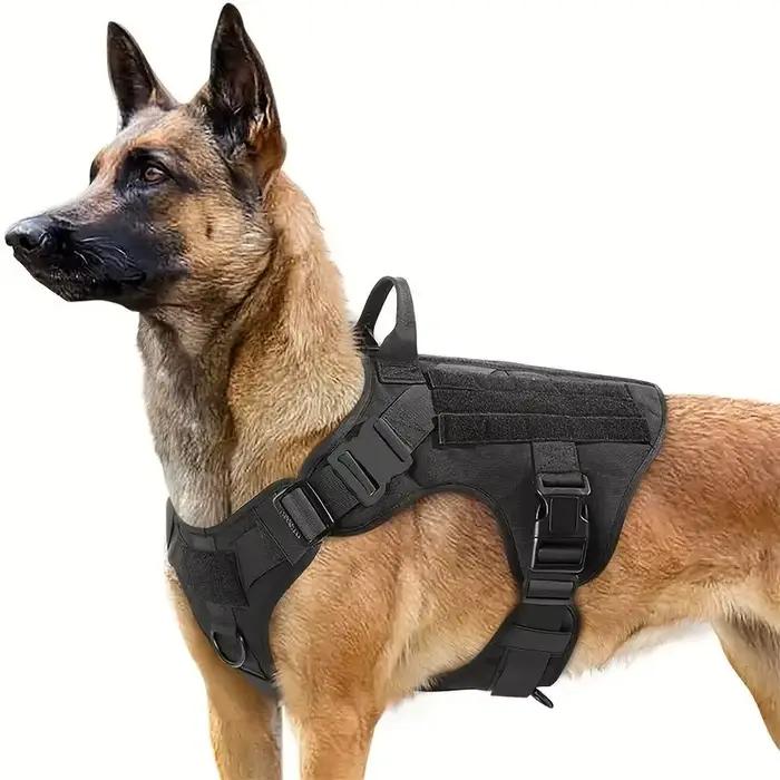Harnais et laisses pour chiens