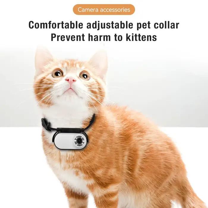 Caméra à collier pour animal de compagnie