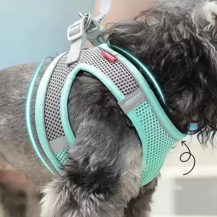 Ensemble de harnais pour chiot