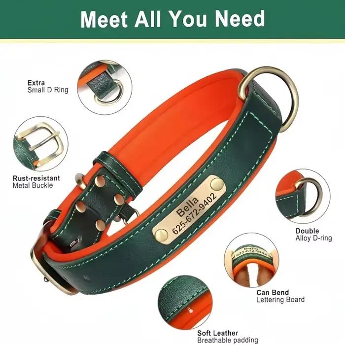 Collier de chien personnalisé en cuir rembourré souple