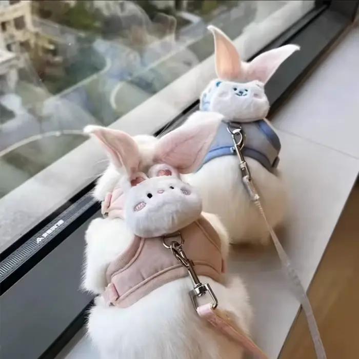 Harnais de traction réglable anti-rupture pour lapins nains aux oreilles tombantes