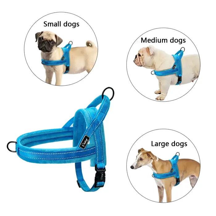Harnais pour chien sans traction