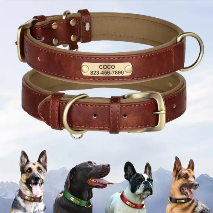 Collier de chien personnalisé en cuir