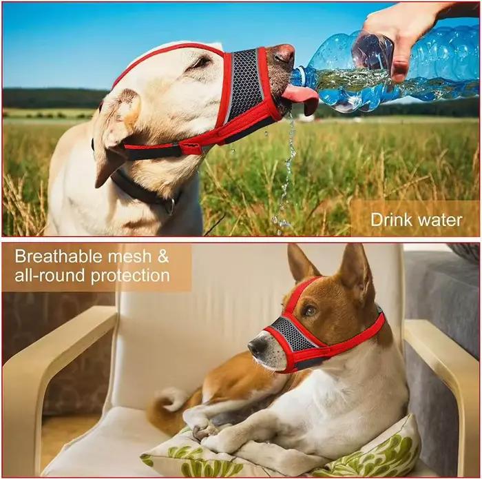 Muselière pour chien respirante en maille