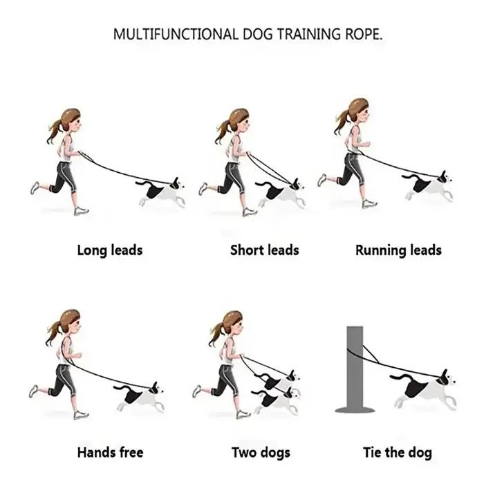 Laisse multifonctionnelle à double tête pour chien