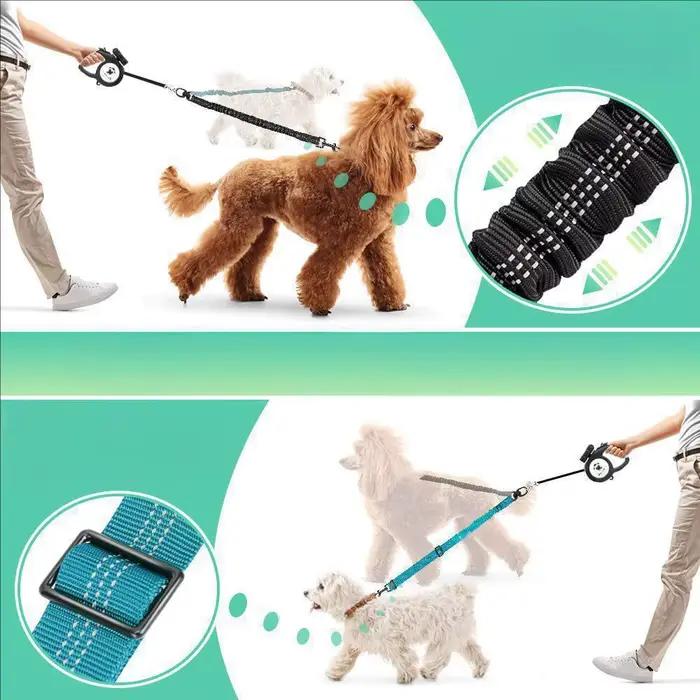 Laisse double pour chien