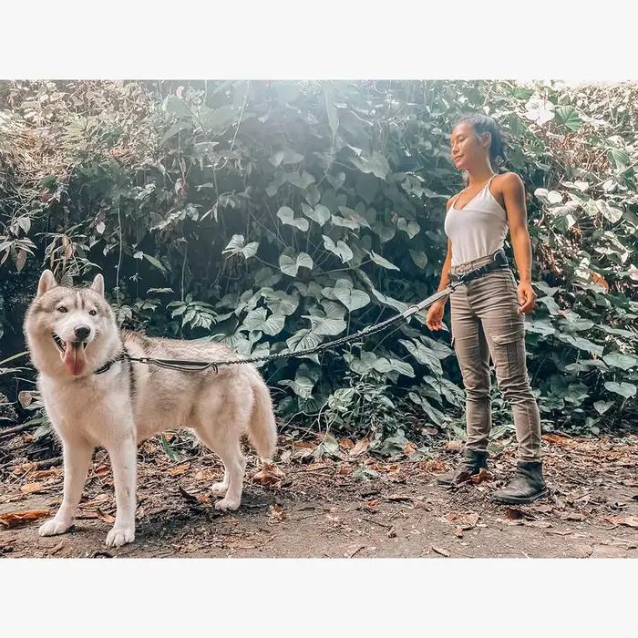 Laisse de chien mains libres