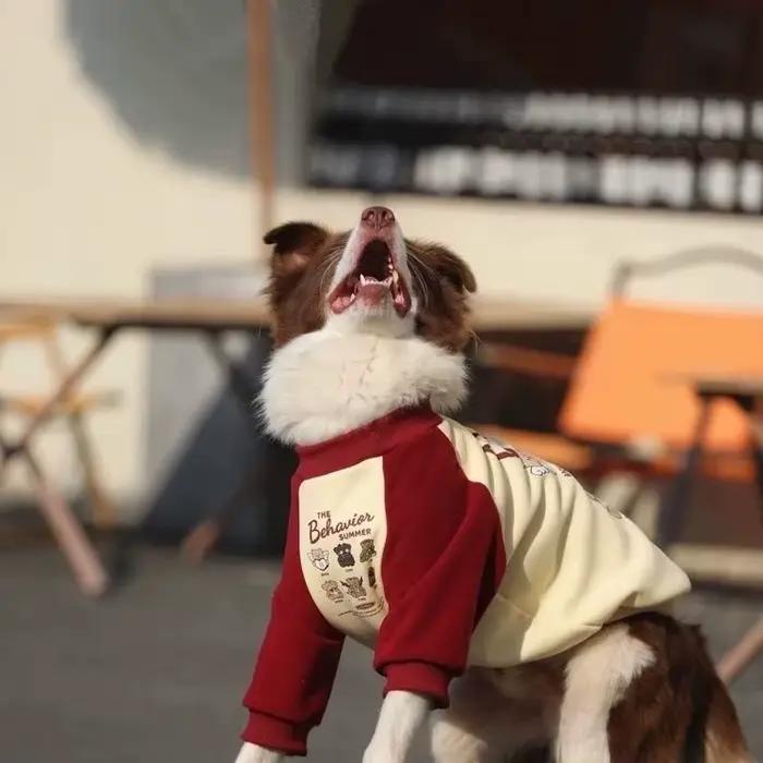 Sweat-shirt à capuche pour chien de grande taille à motif de dessin animé