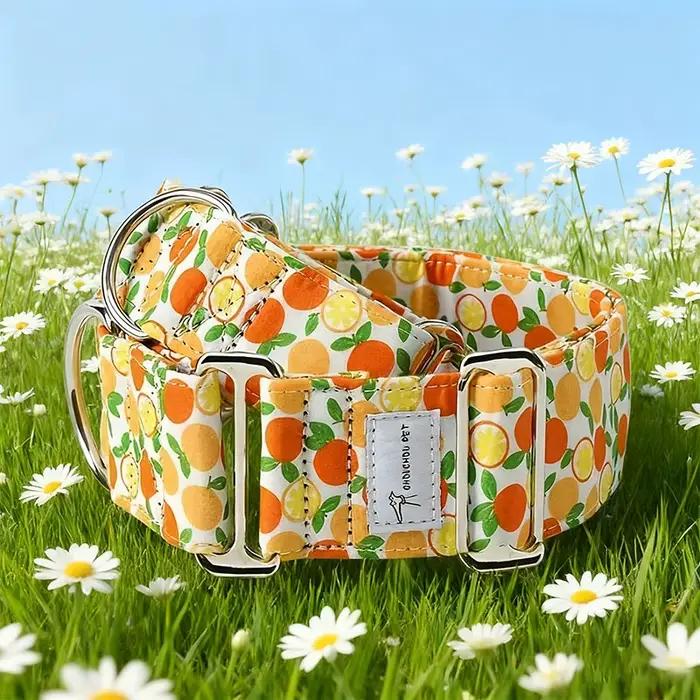 Martinagle Collier pour chien large et réglable