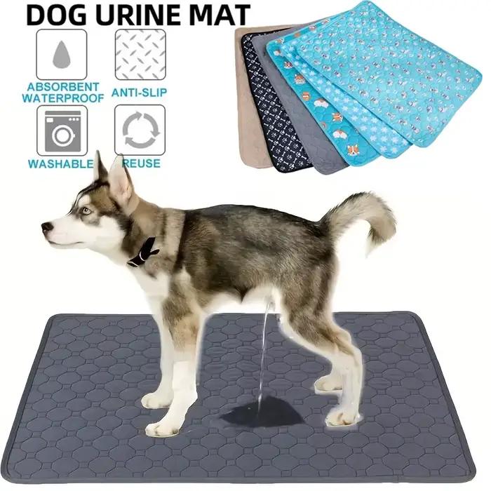 Coussinets d'urine pour chien