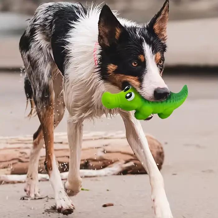 Jouet à mâcher pour chien en caoutchouc durable pour mâcheurs agressifs-latex en forme de crocodile avec son grinçant