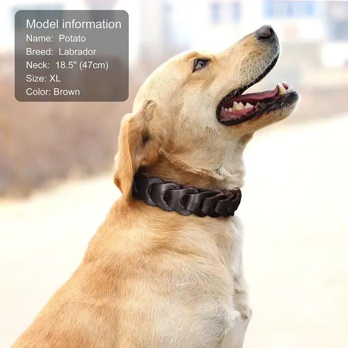 Collier pour chien en cuir de vache véritable