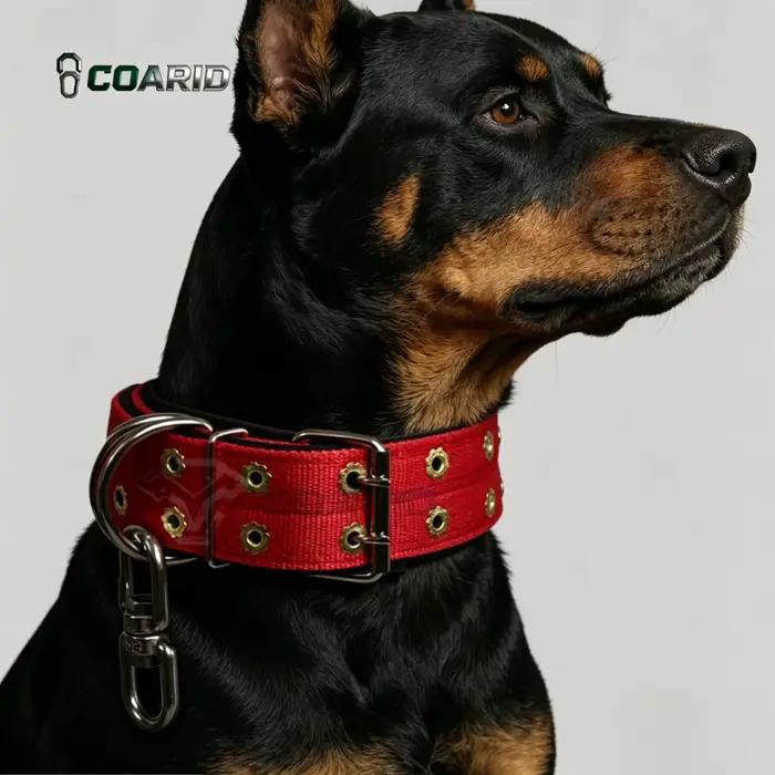 Collier anti-évasion pour chien