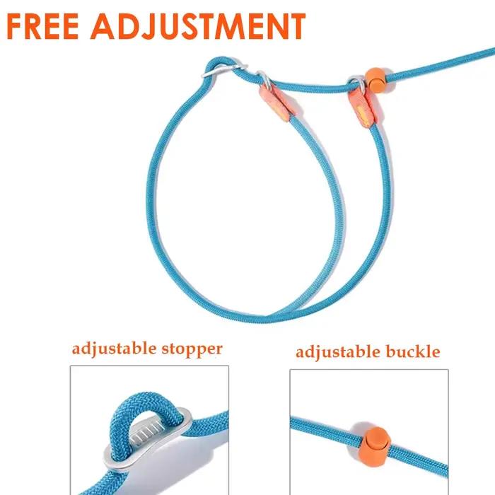 Collier antidérapant en nylon pour chien