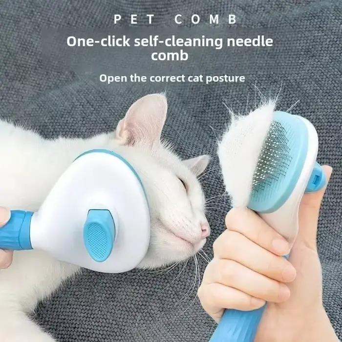Accessoires pour chats